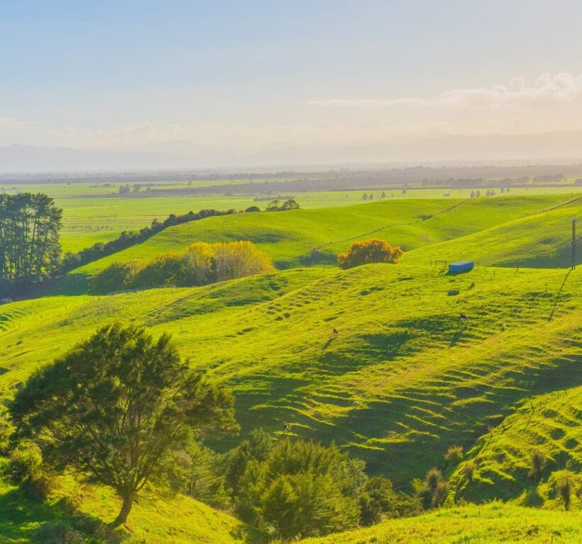 SHITET TOKE NE FARKE TE VOGEL 283.000 EURO