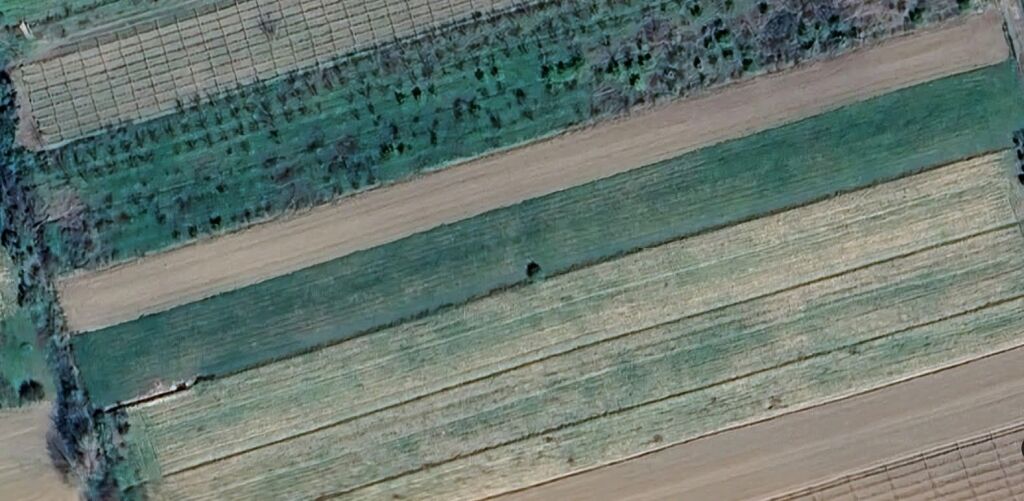 SHITET TOKE 7782 M2 - XHAFZOTAJ, SHIJAK