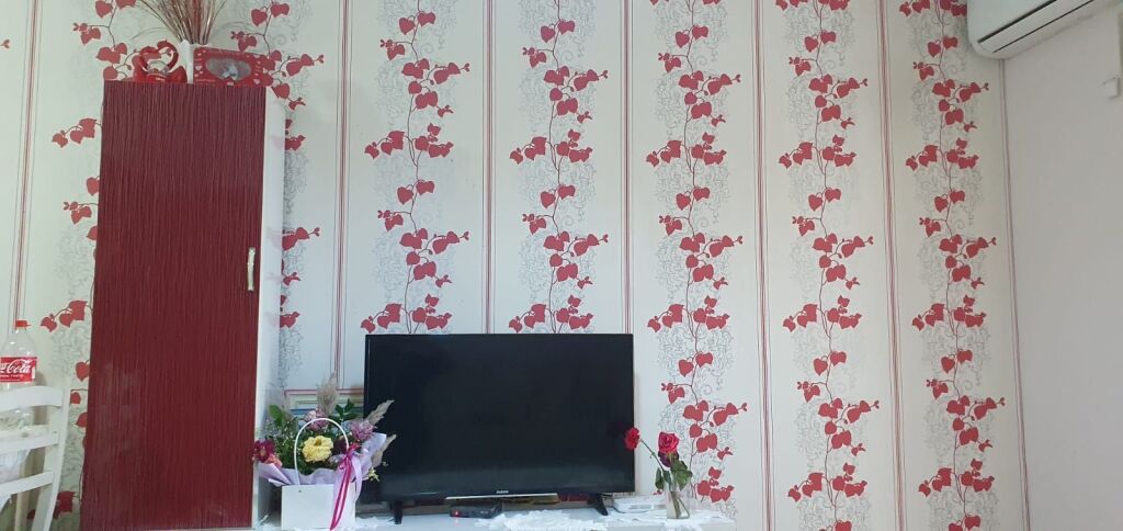 Affittasi 1+1 FRESKU 450€