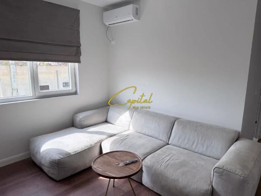 APARTMENT FOR RENT 1+1 5 MAY 470 EURO