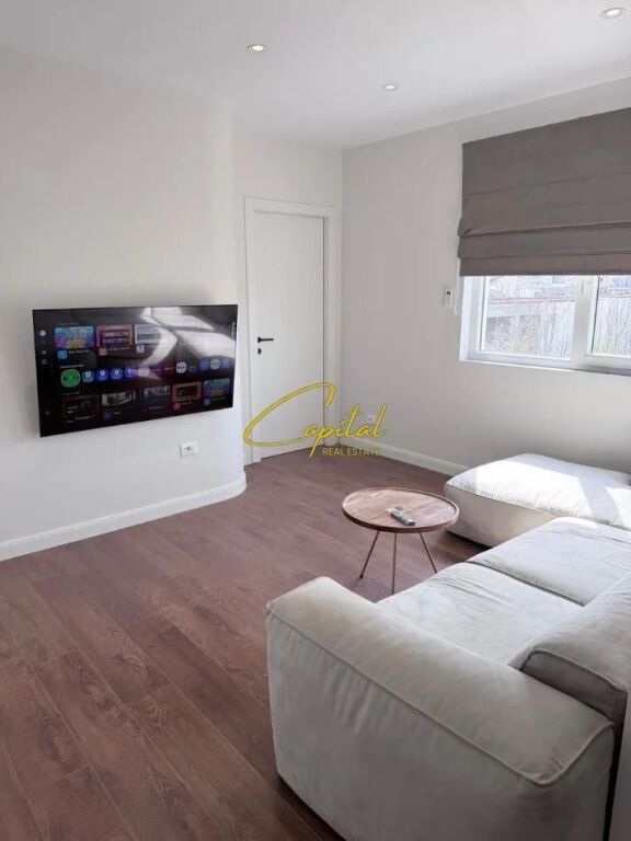 APARTMENT FOR RENT 1+1 5 MAY 470 EURO