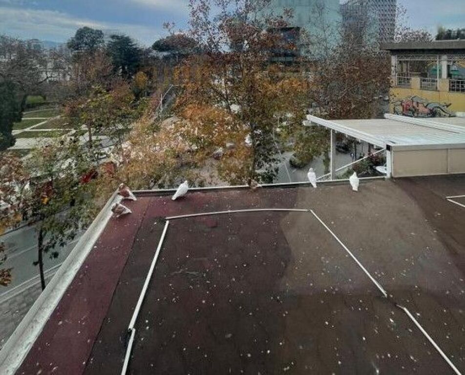 Affitto Appartamento 2+1+2, Centro, Tirana