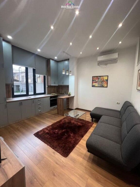 Apartament Me Qera 1+1 ne Qender (ID B210488) Tirane