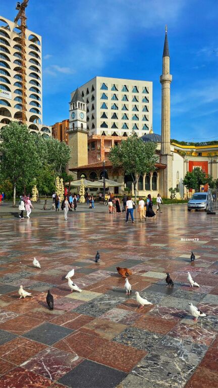 OFFICE FOR RENT 350M2 ELBASAN ROAD