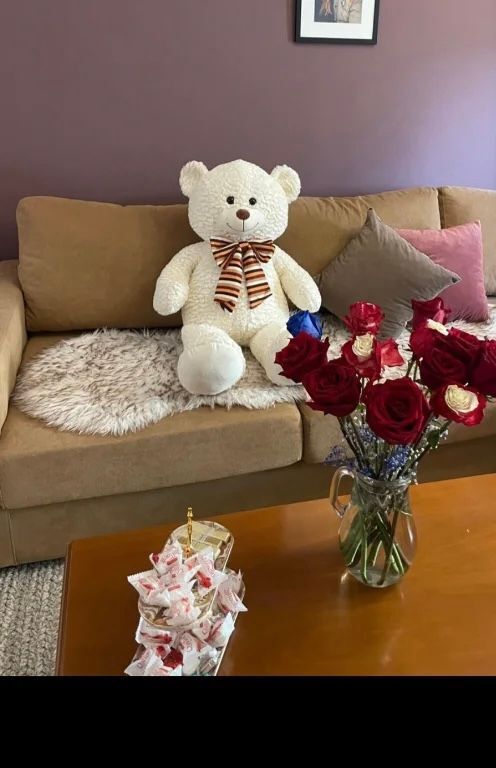 Appartamento 1+1 in affitto presso lo Stadio Air Albania