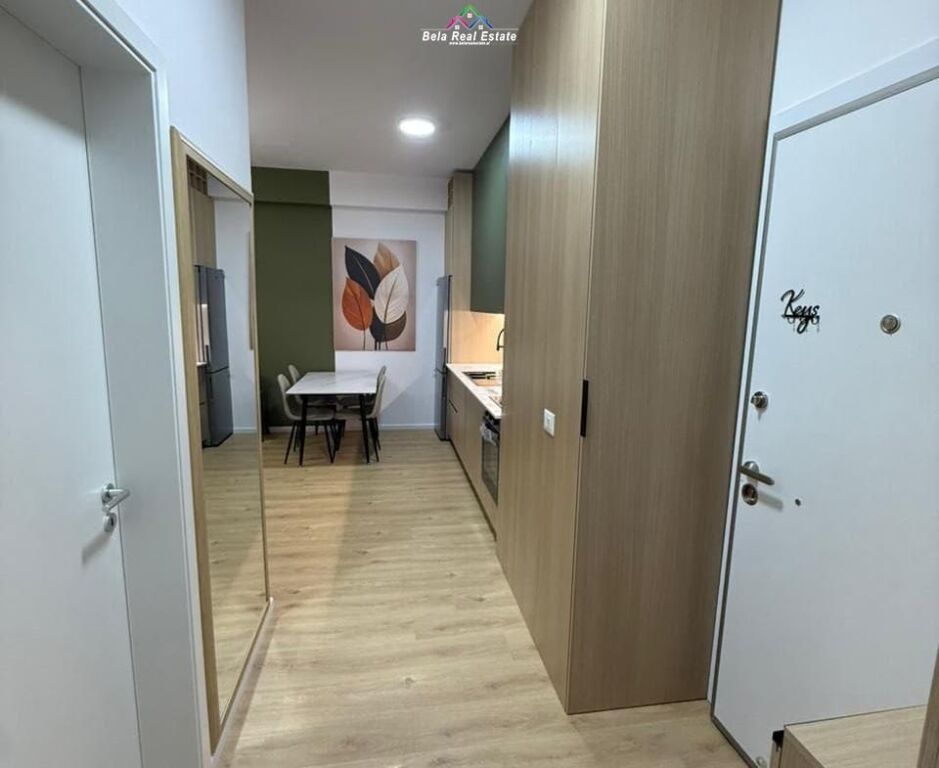 Apartament me Qera 1+1 tek Ali Demi (ID B2101580) Tirane