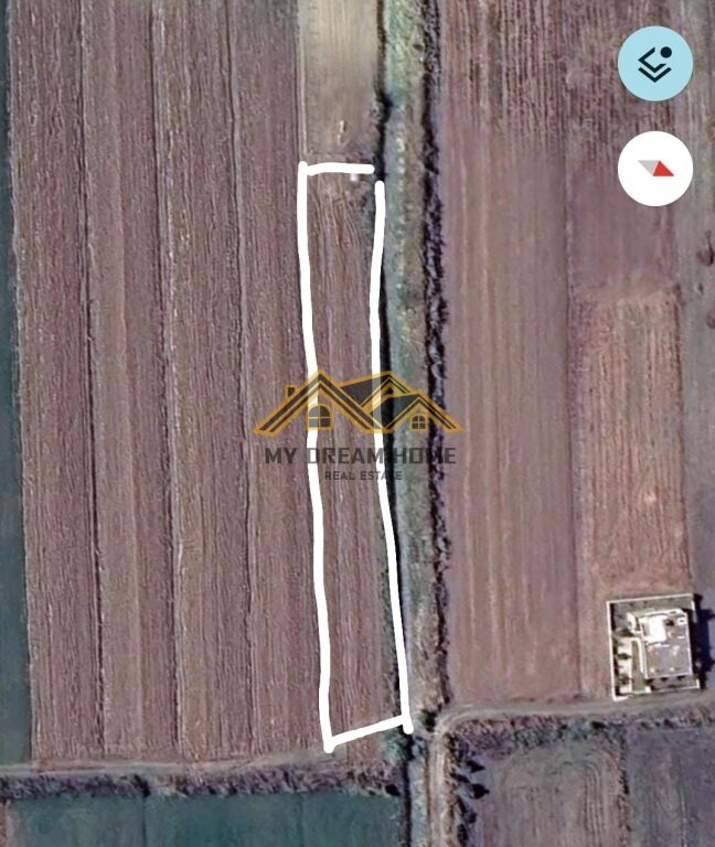 SHITET TOKE NE SPILLE,KAVAJE!