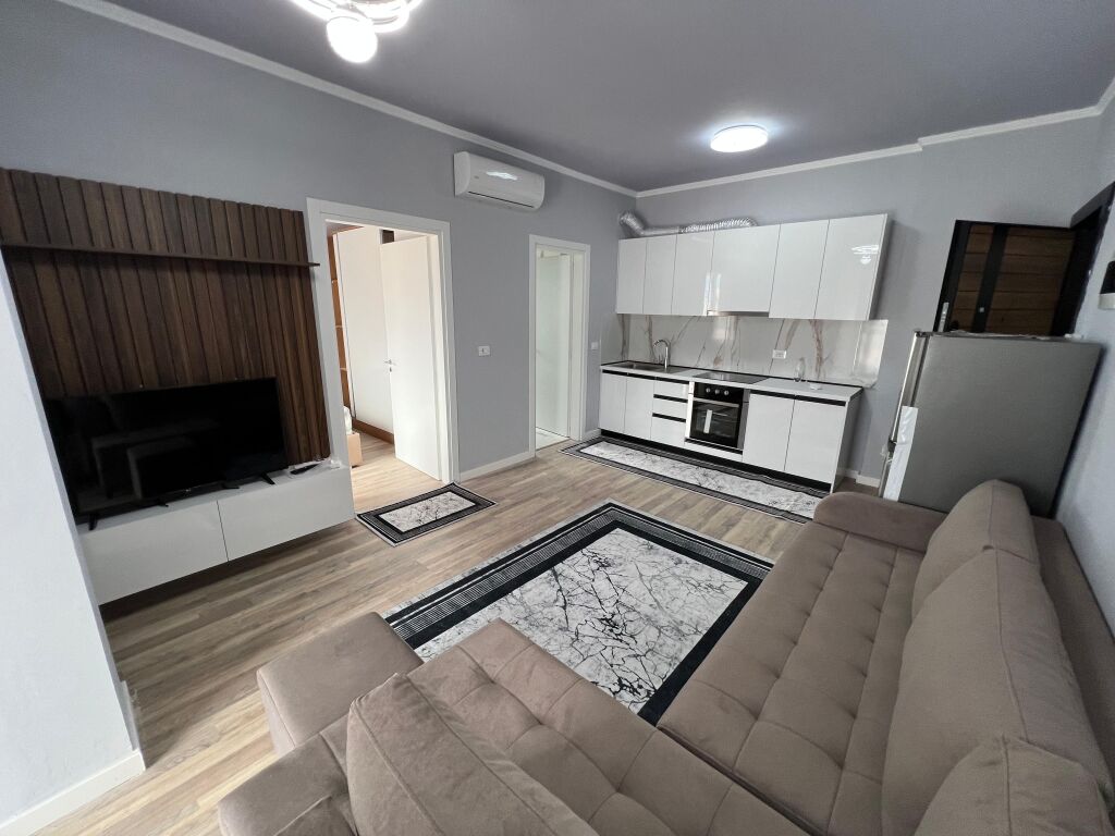 Apartment 1+1+parking 5 maji for sale