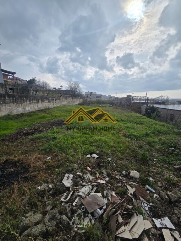 SHITET TOKE ARE ME PAMJE DETI NE SHKALLNUR