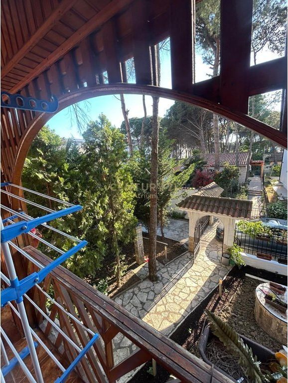 SHESIM VILE NE GOLEM!