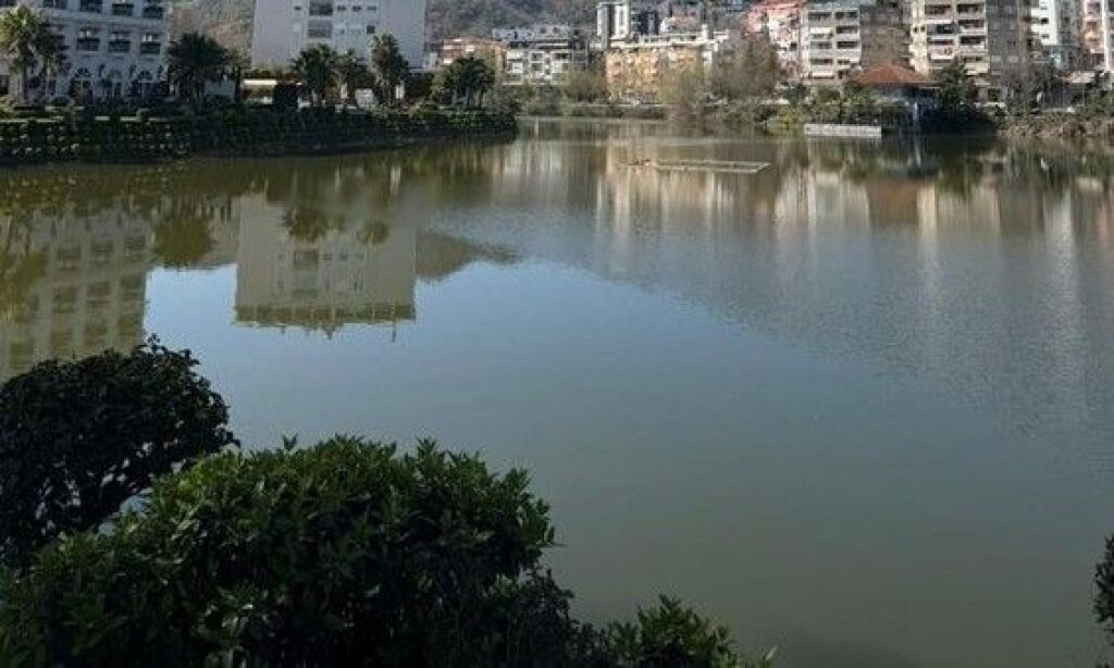 Shitet, Apartament 2+1+2, Liqeni i Thatë,Tiranë