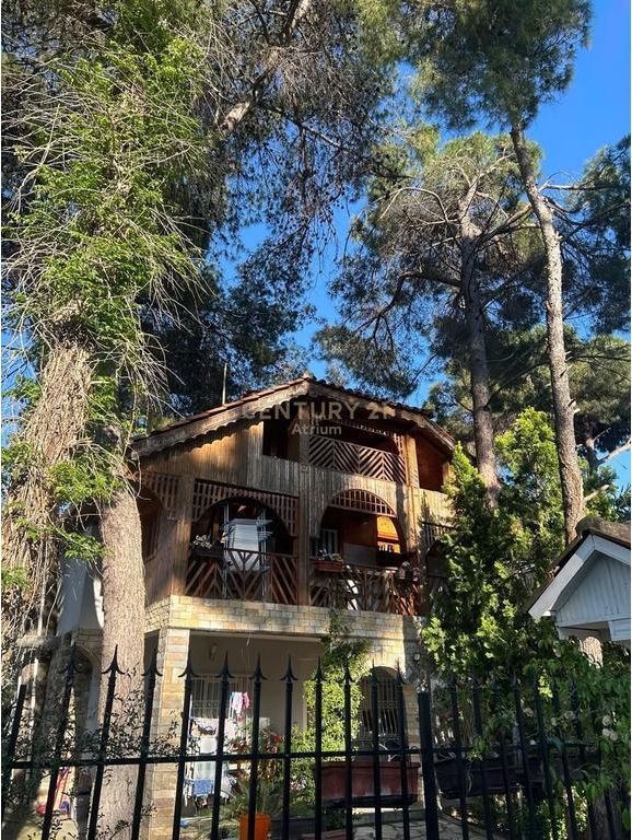 SHESIM VILE NE GOLEM!