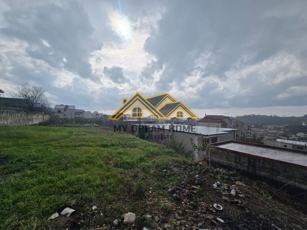 SHITET TOKE ARE ME PAMJE DETI NE SHKALLNUR