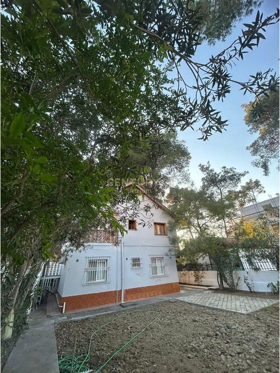 SHESIM VILE NE GOLEM!