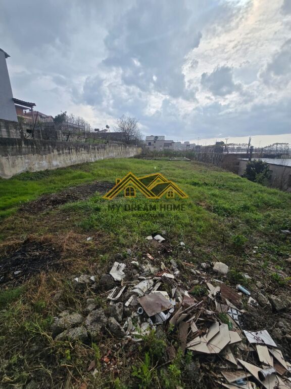 SHITET TOKE ARE ME PAMJE DETI NE SHKALLNUR