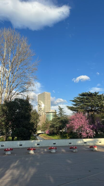 Studio apartment for rent at Pharmacy 10