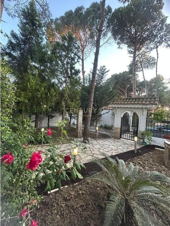 SHESIM VILE NE GOLEM!