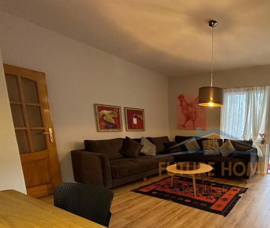 Rent, Apartment 1+1 Petro Nini!