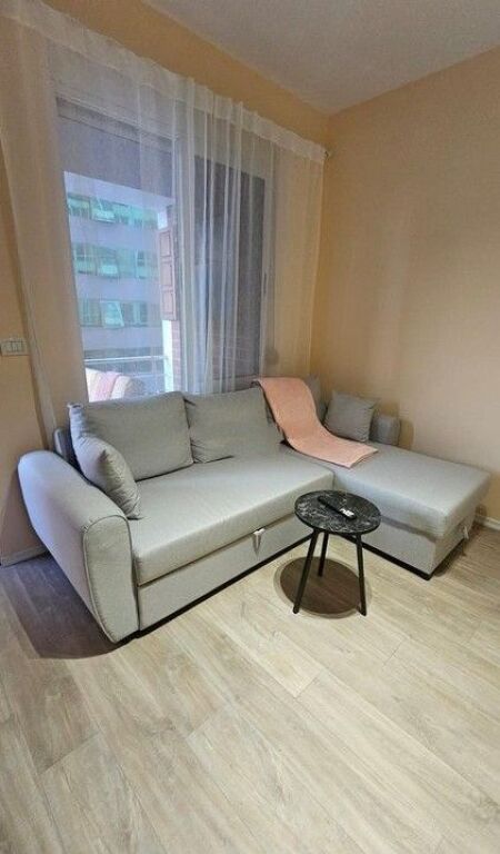 AFFITTO APPARTAMENTO 1+1 A USLUGA !