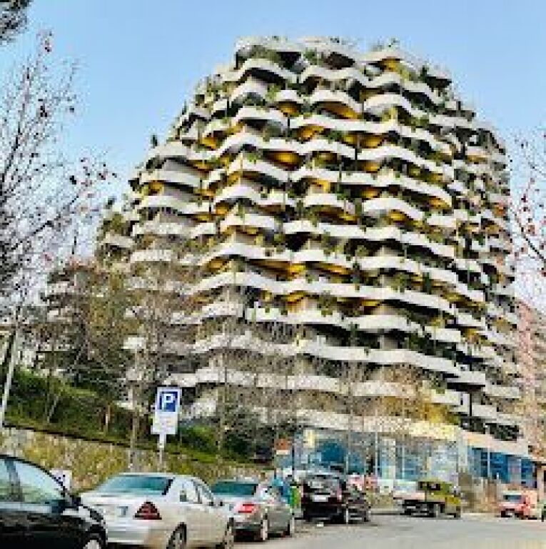 Lion Park 1 Appartamento 1+1 in affitto