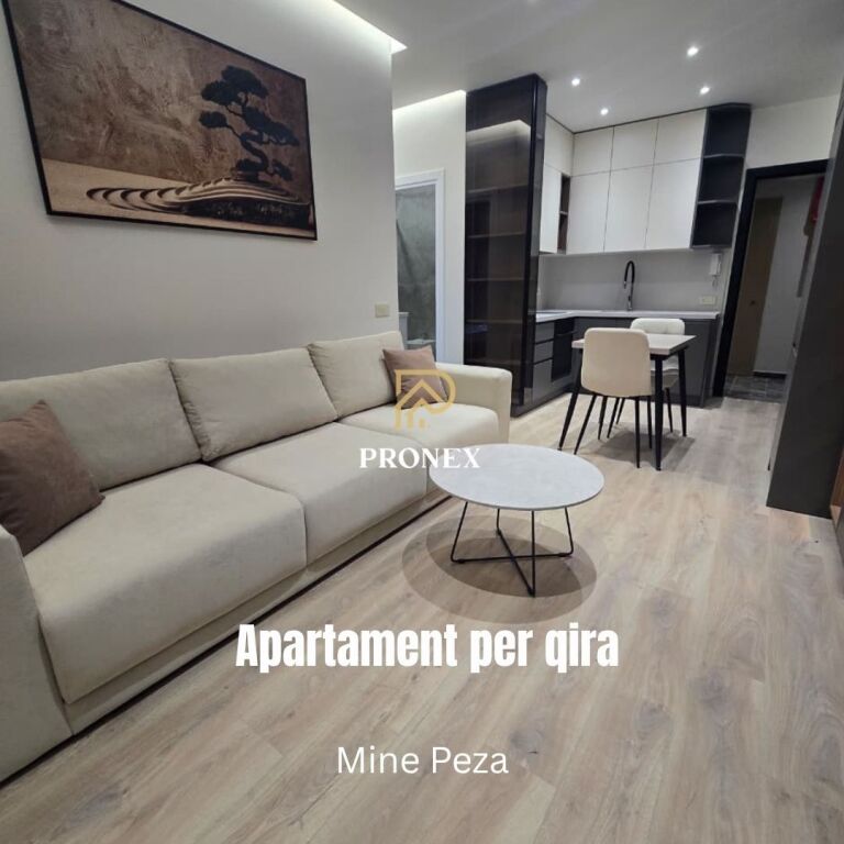 Apartament me qera - Mine Peza