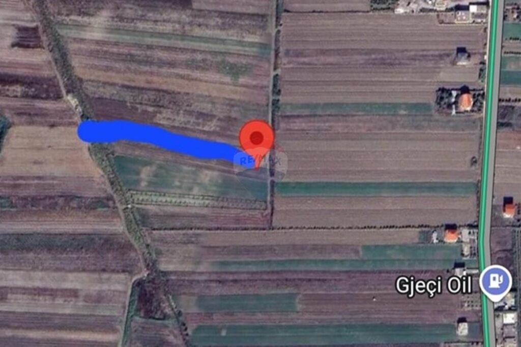 Toke ne Shitje ne Spille