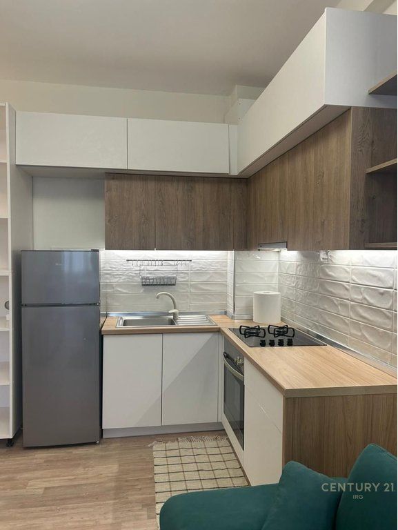 1+1 FOR RENT AT THE MUNICIPALITY OF PARIS