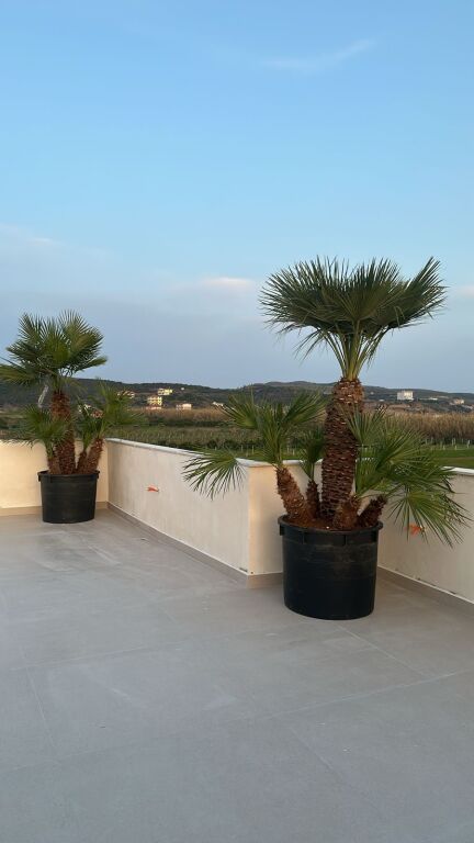 Spille plazh ,Orange Privè luxury villas,rezidence me 6 vila ,600 m nga deti