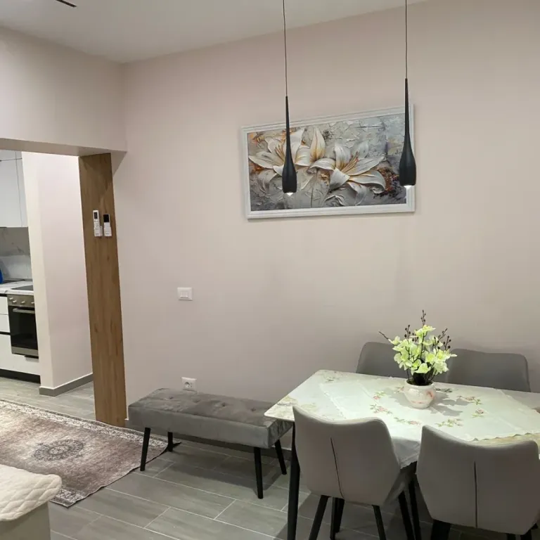 Appartamento 1+1 in affitto presso (Ristorante Pireo) Via Elbasan