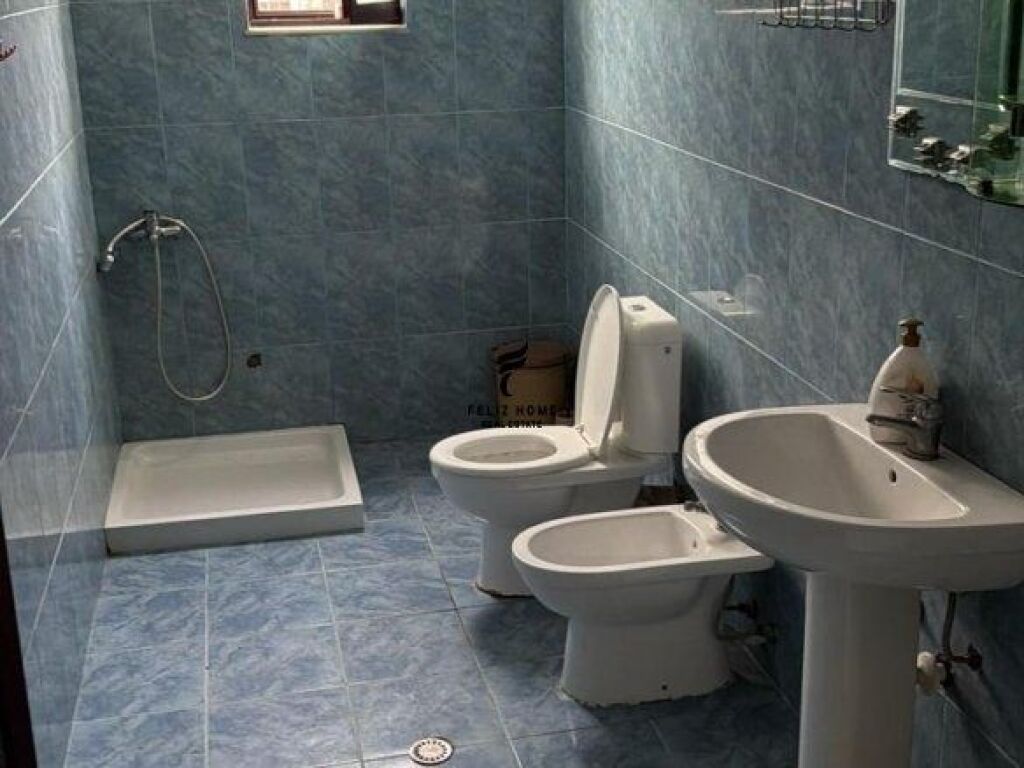 APARTMENT FOR RENT 2+1 JORDAN MISJA 40,000 LEKE FH-65946