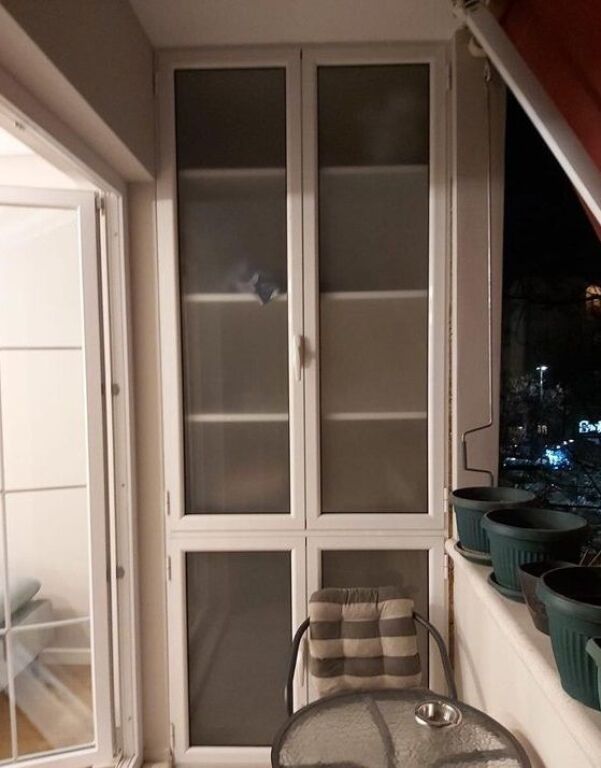 Apartment for rent 1+1, Myslym Shyri