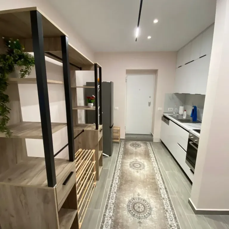 Appartamento 1+1 in affitto presso (Ristorante Pireo) Via Elbasan