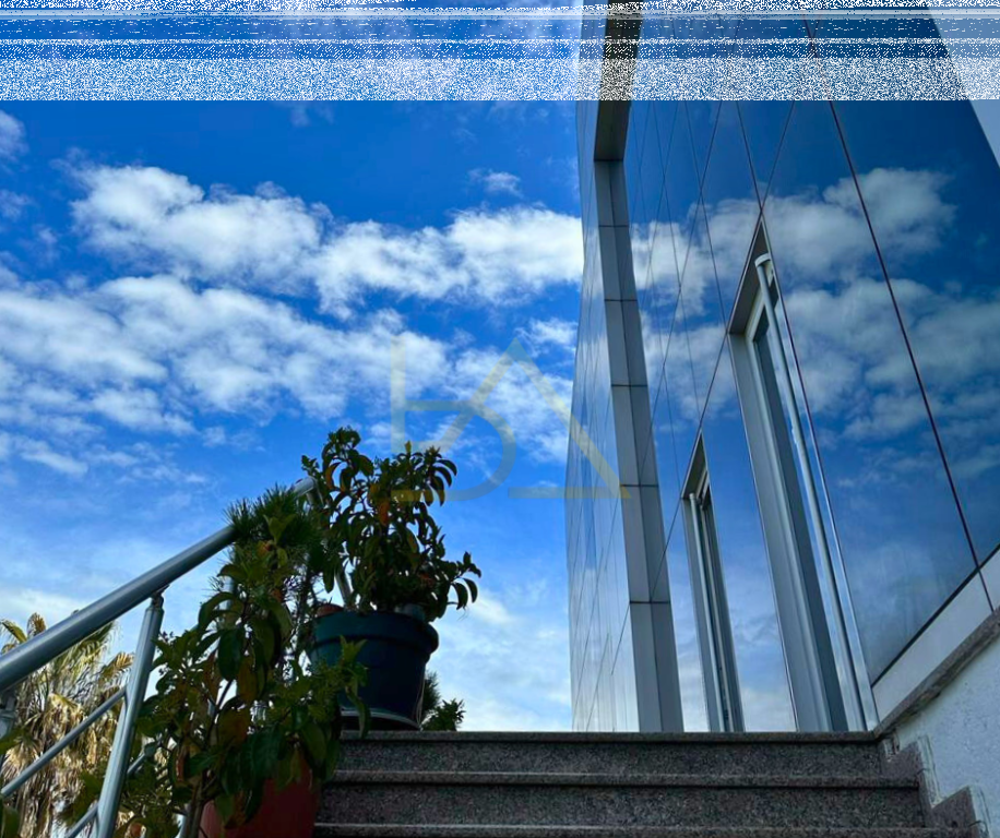 Exclusive Multifunctional Business Property for Sale