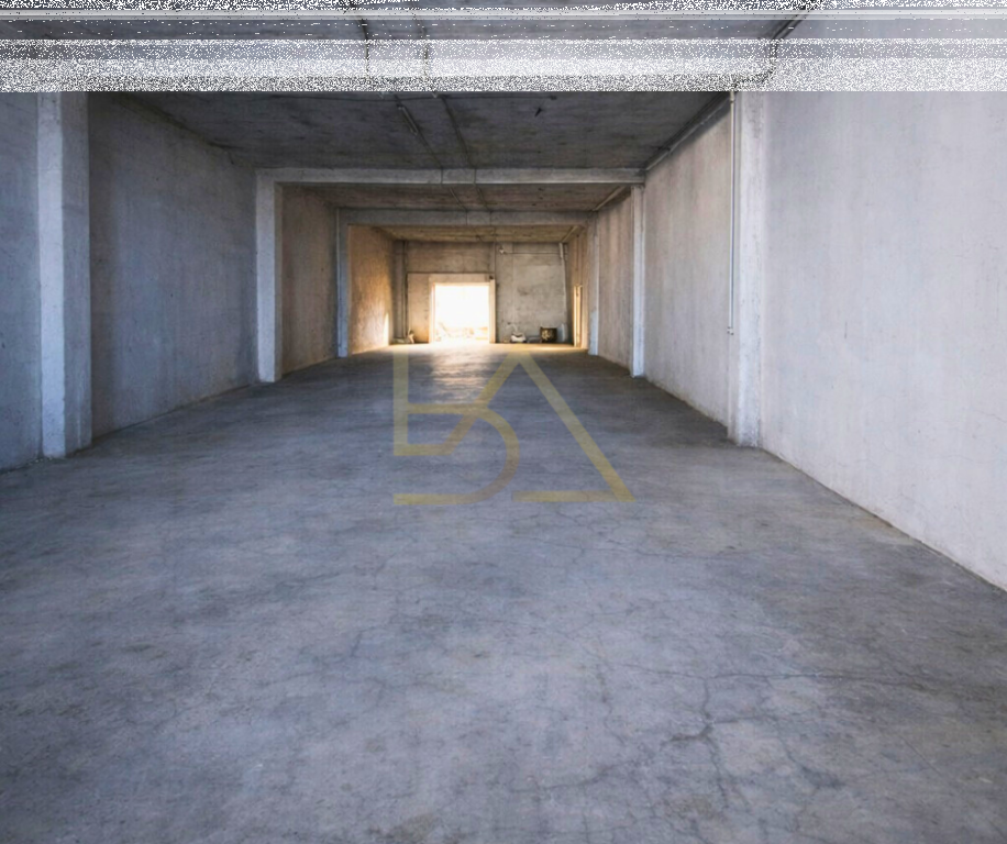 Exclusive Multifunctional Business Property for Sale