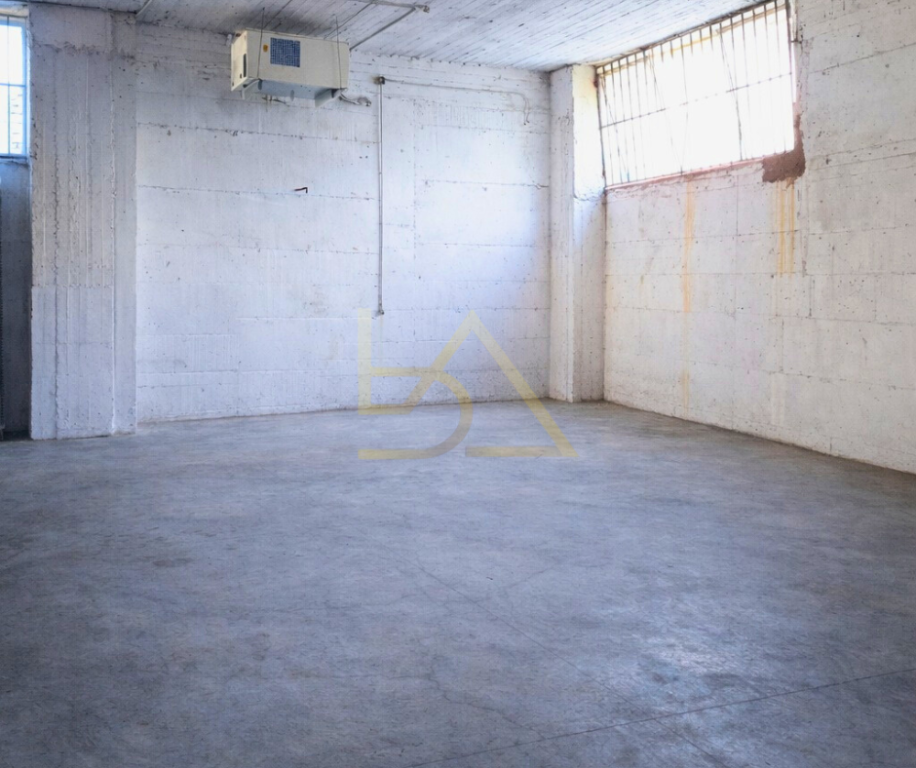 Exclusive Multifunctional Business Property for Sale