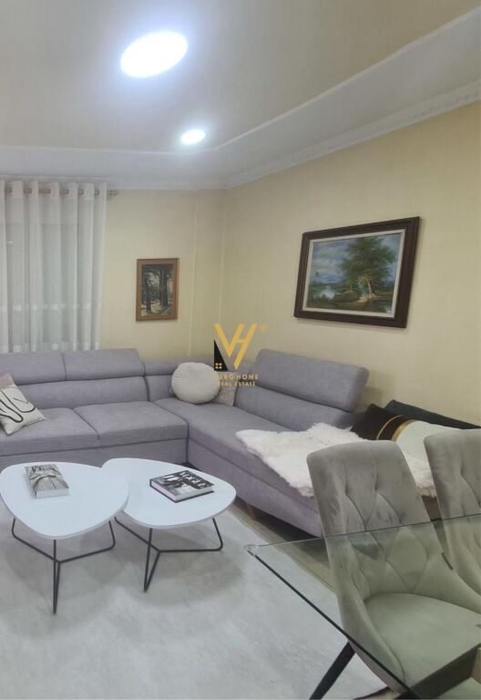 JEPET APARTAMENT 1+1+BLK ME QERA NE VASIL SHANTO 600 EURO