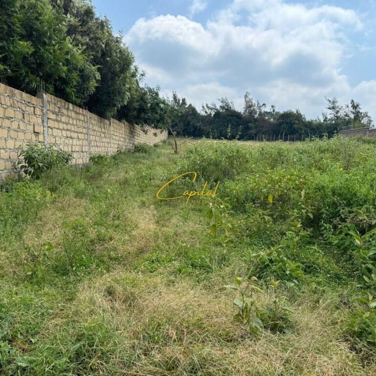 TERRENO IN VENDITA 600 M2 KASHAR 120.000 EURO