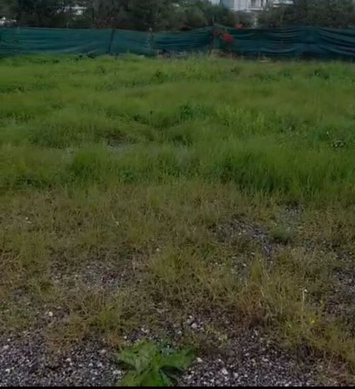 Shitet toke ne Ksamil