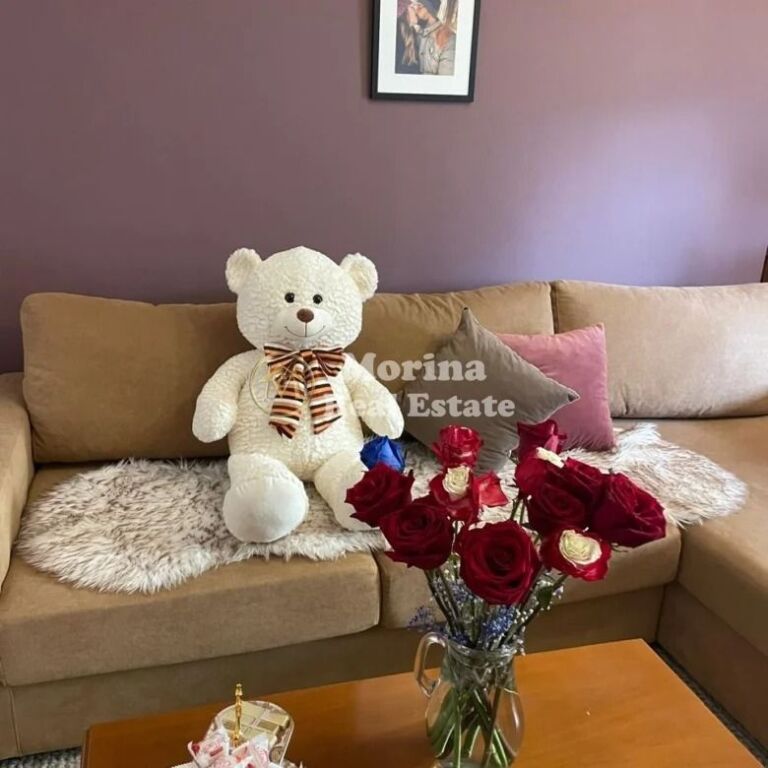 Rent | Apartment 1 + 1 | Air Albania stadium | 580 €/month