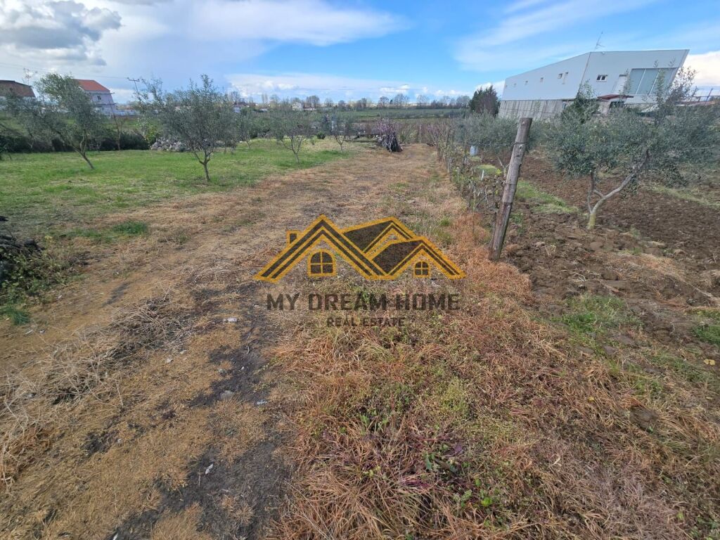 Shitet Tokë Are në Shkafan Gjirin e Lalzit