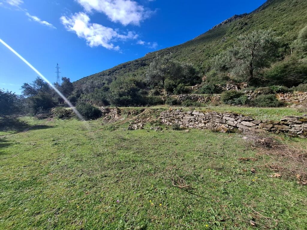 SUPER Tokë në Shitje 600 m2 📍Në Borsh - Te karburanti (Rruga e Lumit) 🔥 (79.000 EURO) ( super çmim)🔥100 m nga rruga Kryesore sa hyne te karburanti në Borsh.