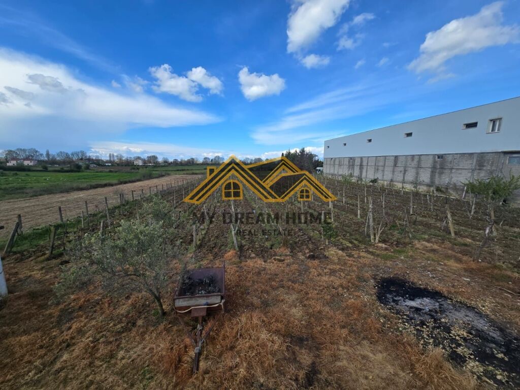 Shitet Tokë Are në Shkafan Gjirin e Lalzit