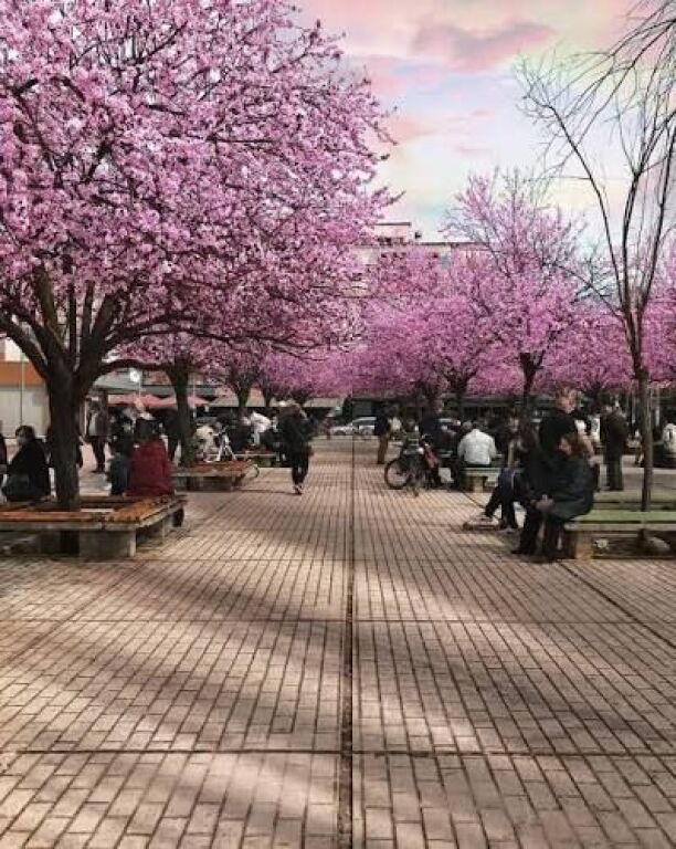 2+1 APARTMENT FOR SALE IN XHAMLLIKU