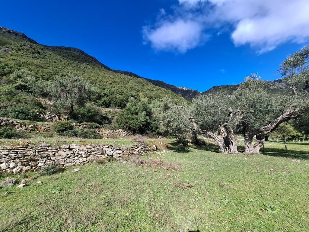 SUPER Tokë në Shitje 600 m2 📍Në Borsh - Te karburanti (Rruga e Lumit) 🔥 (79.000 EURO) ( super çmim)🔥100 m nga rruga Kryesore sa hyne te karburanti në Borsh.