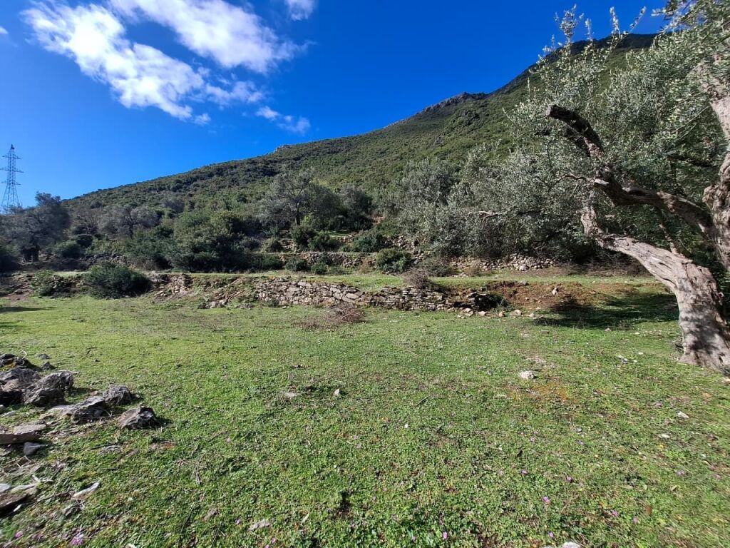 SUPER Tokë në Shitje 600 m2 📍Në Borsh - Te karburanti (Rruga e Lumit) 🔥 (79.000 EURO) ( super çmim)🔥100 m nga rruga Kryesore sa hyne te karburanti në Borsh.