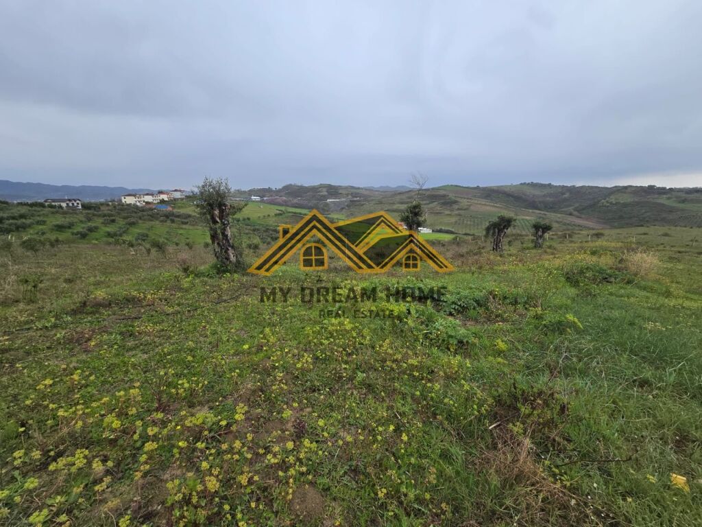 TERRENO AGRICOLO IN VENDITA A ARAPAJ