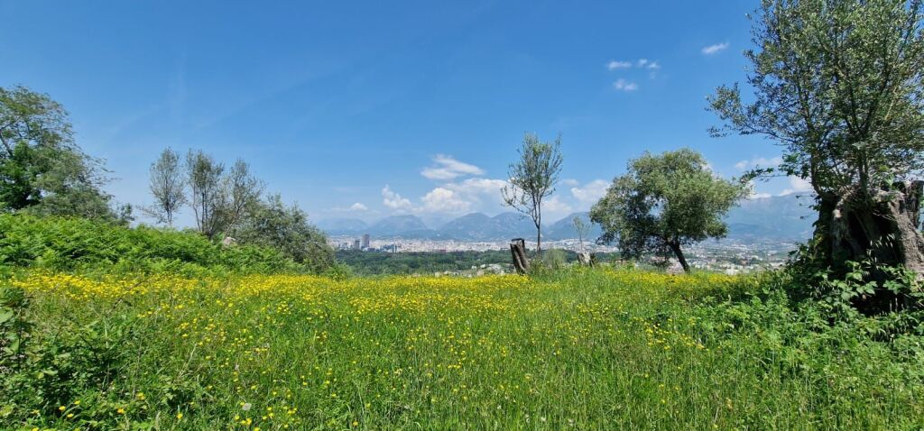 TERRENO IN VENDITA CON PROGETTO E PERMESSO DI COSTRUZIONE PER VILLA CON VISTA SU TIRANA