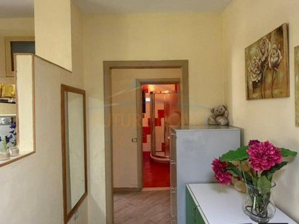 Affitto, Appartamento 1+1, Fresk, Tirana.
