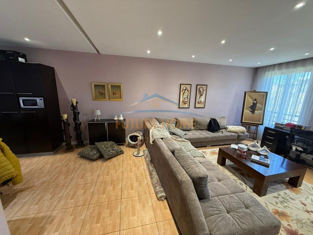 Shitet Apartament 2+1, Zogu i Zi