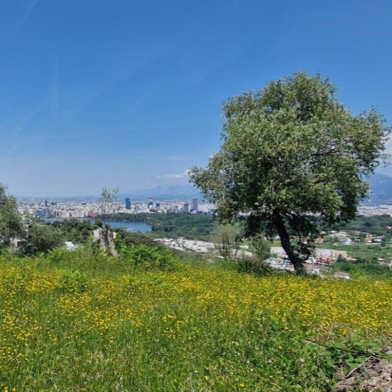 🏡✨ Terreno + Progetto + Permesso di Costruzione per 3 Ville – Sauk, vicino al Lago Xhebrahimi ✨🏡